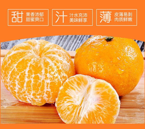 武鳴沃柑 新鮮應季的甜蜜之選，打造健康果盤新風尚